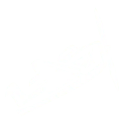 Play Aviator Chan casino